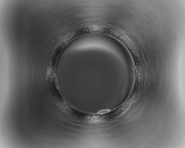 X0000096410419200801241224