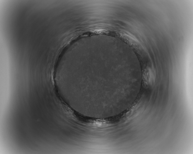 X0000096410420200801241224