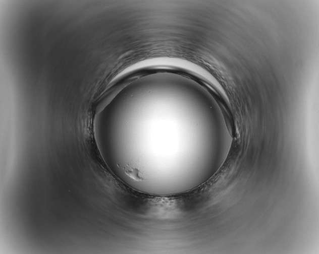X0000096410421200801241224