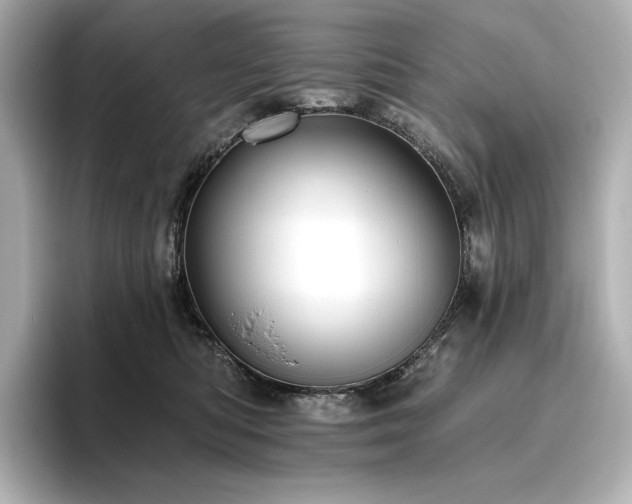 X0000096410422200801241224
