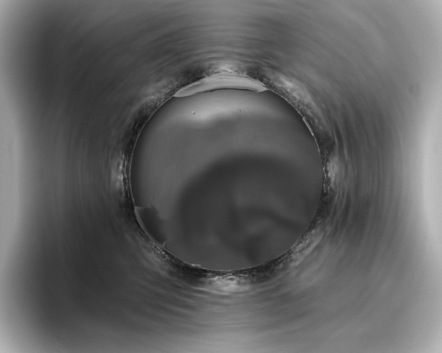X0000096410423200801241224