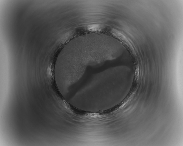 X0000096410424200801241224