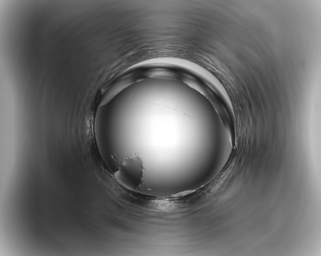 X0000096410425200801241224