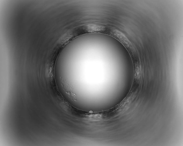 X0000096410426200801241224