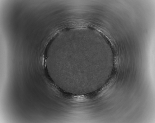 X0000096410428200801241224