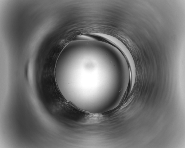 X0000096410429200801241224