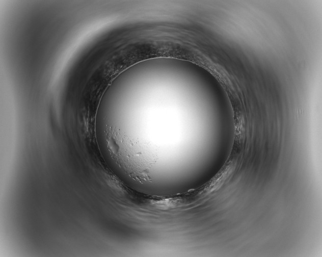 X0000096410430200801241224