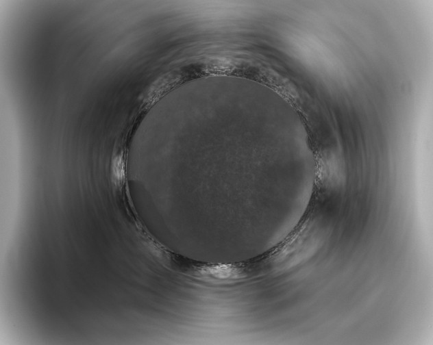 X0000096410431200801241224