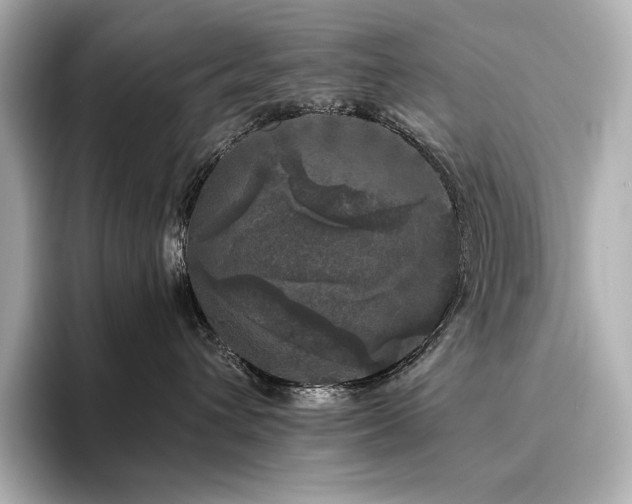 X0000096410432200801241224