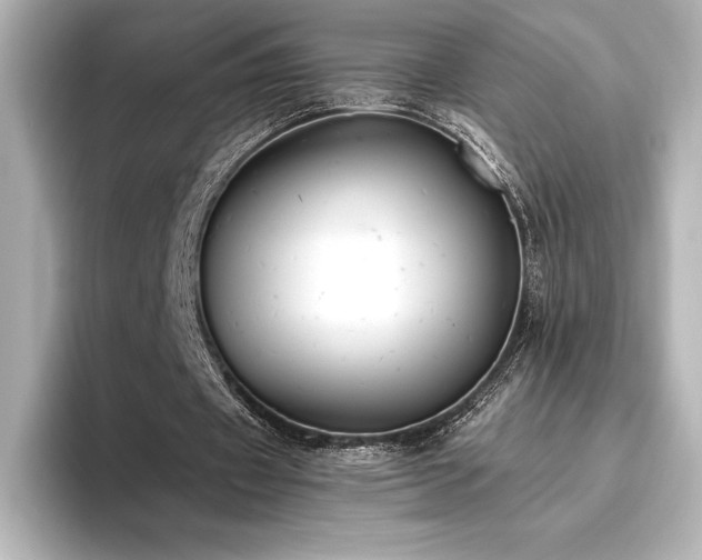 X0000096410433200801241224