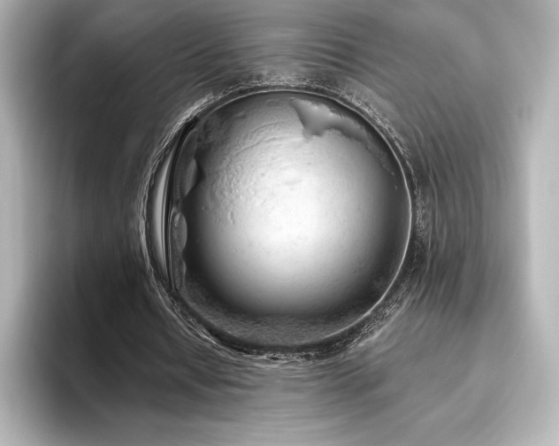 X0000096410434200801241224
