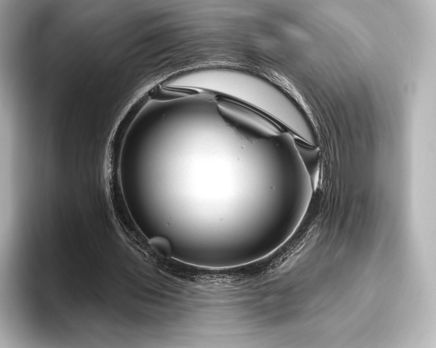 X0000096410435200801241224