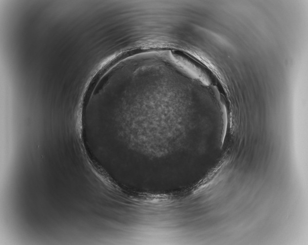 X0000096410438200801241224