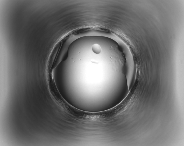 X0000096410440200801241224