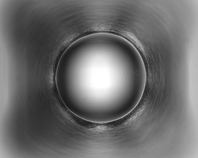 X0000096410441200801241224