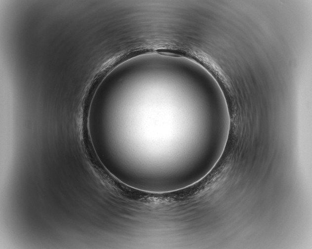X0000096410442200801241224