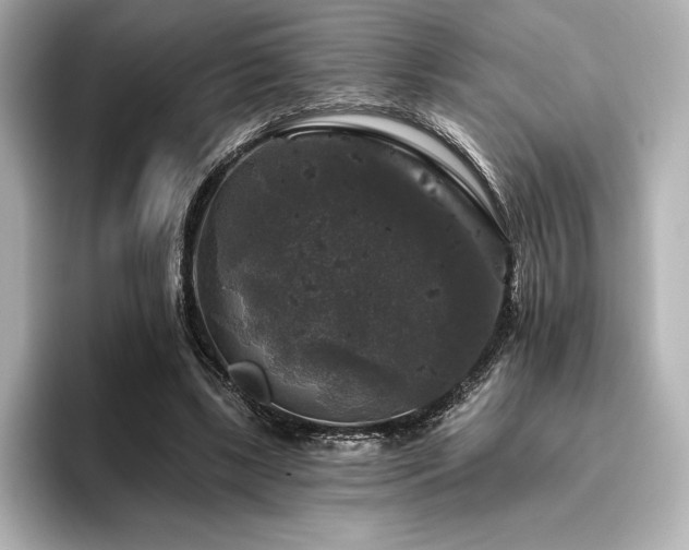 X0000096410443200801241224