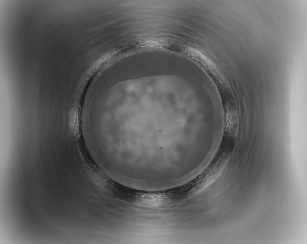 X0000096410444200801241224