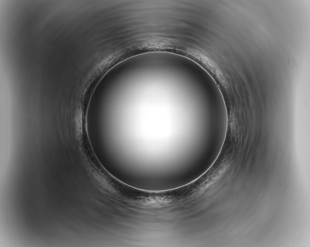 X0000096410445200801241224