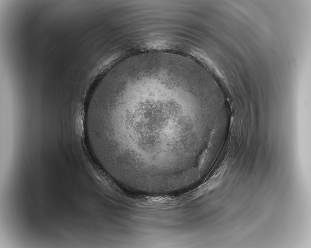 X0000096410446200801241224