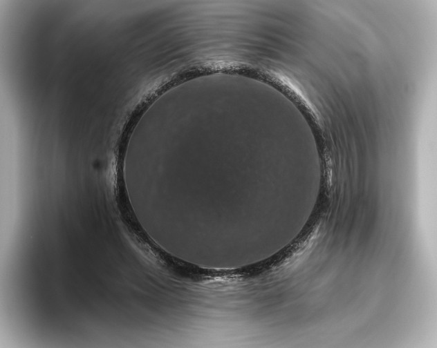 X0000096410447200801241224