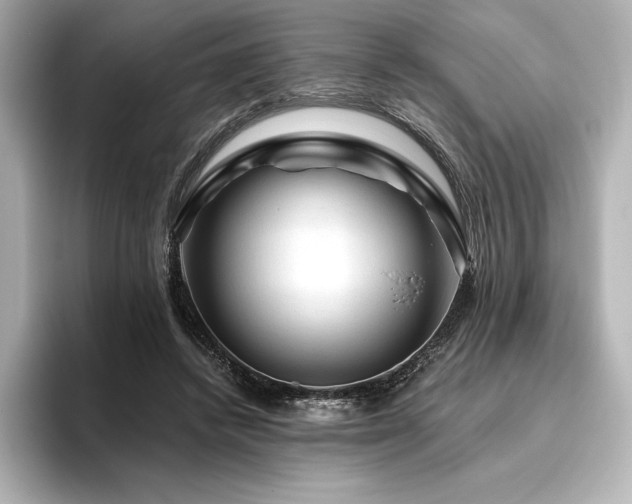 X0000096410448200801241224
