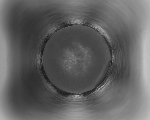 X0000096410449200801241224