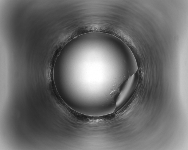 X0000096410450200801241224