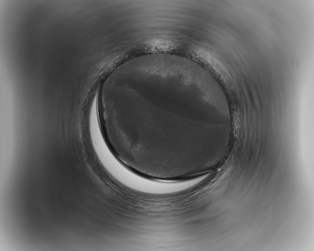 X0000096410451200801241224