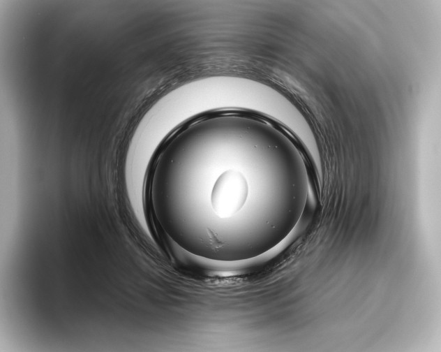 X0000096410452200801241224