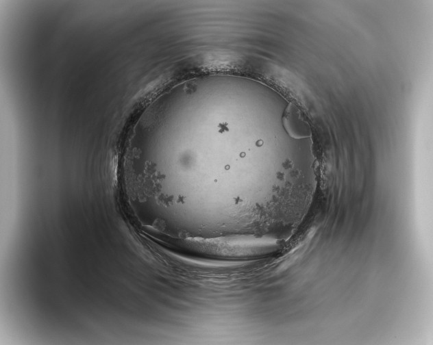 X0000096410454200801241224