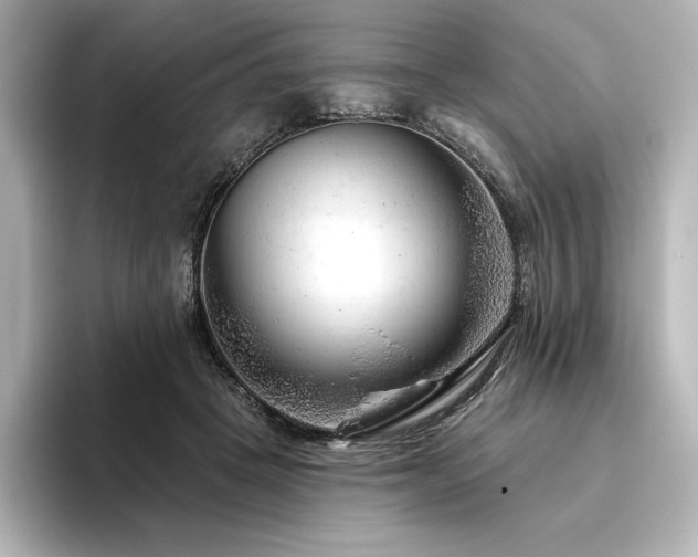 X0000096410457200801241224