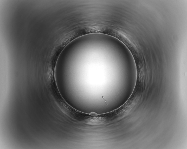 X0000096410459200801241224