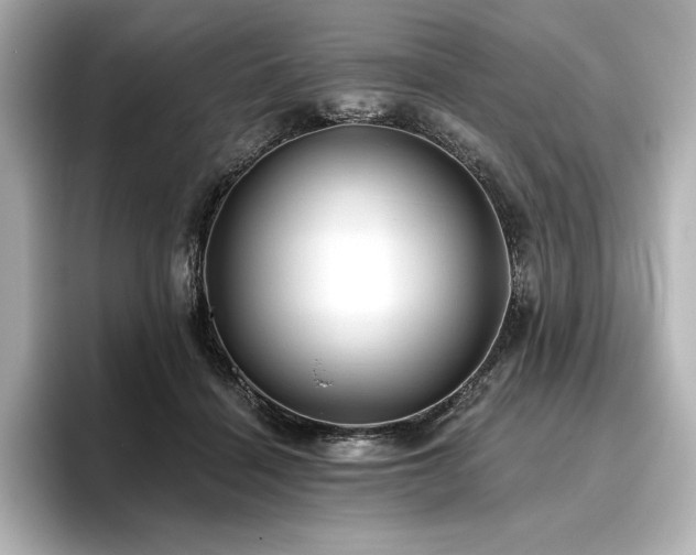 X0000096410460200801241224