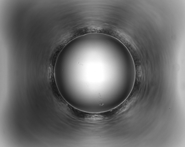 X0000096410463200801241224