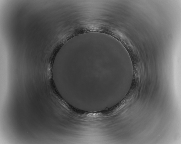 X0000096410465200801241224