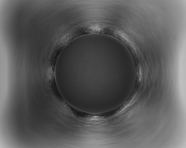 X0000096410467200801241224