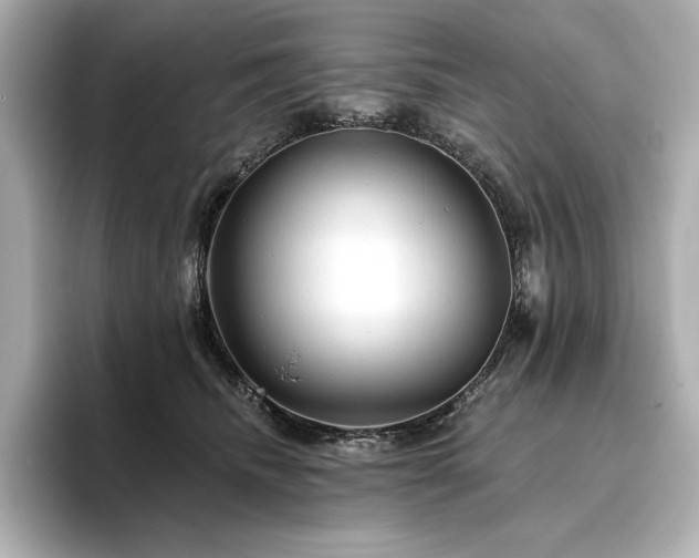 X0000096410468200801241224