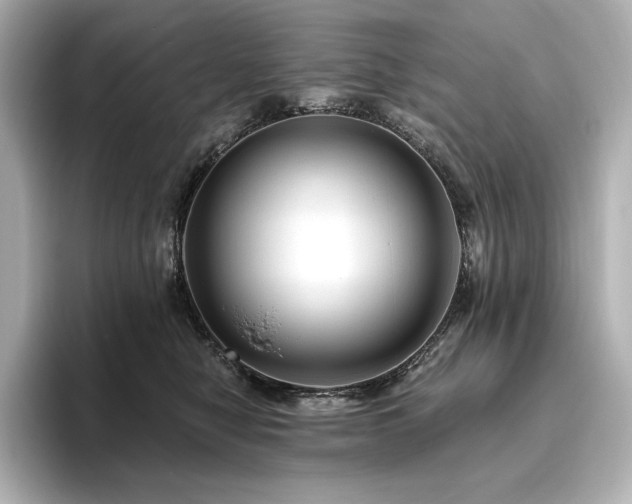 X0000096410470200801241224