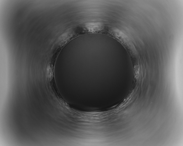 X0000096410471200801241224