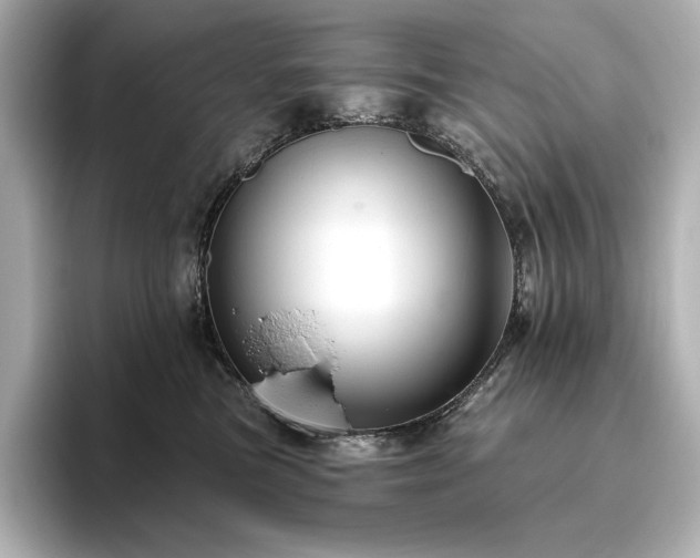 X0000096410473200801241224