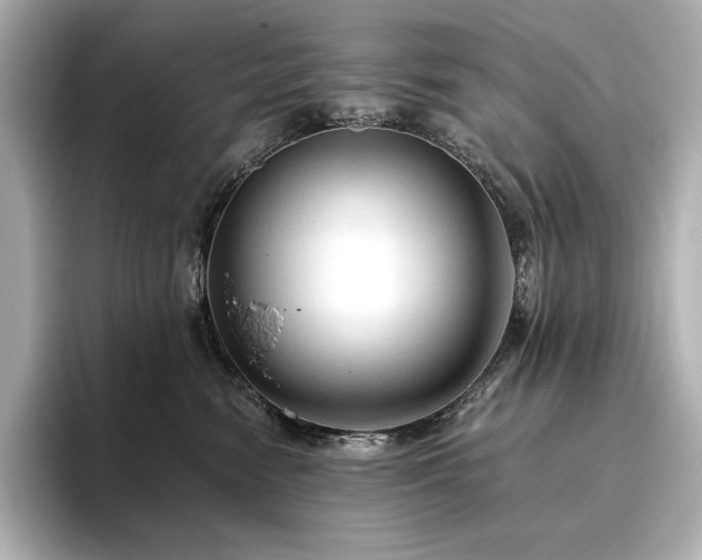 X0000096410474200801241224