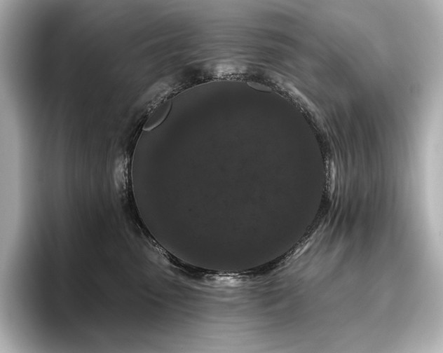 X0000096410475200801241224