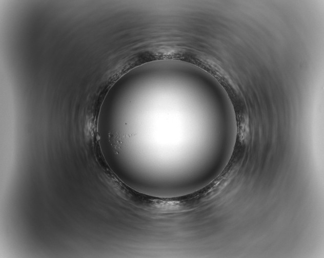 X0000096410476200801241224