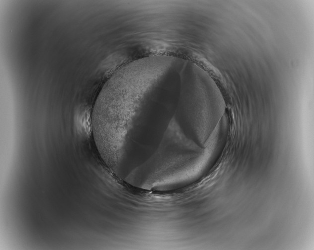 X0000096410479200801241224