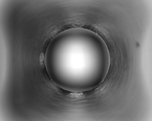X0000096410480200801241224