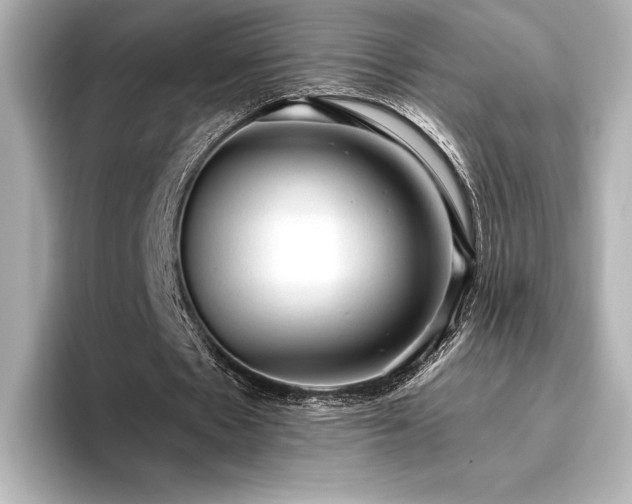 X0000096410481200801241224
