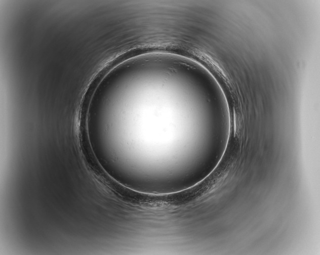 X0000096410483200801241224