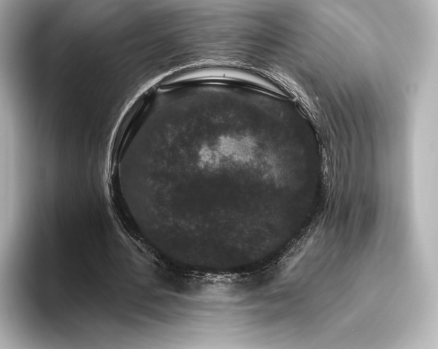 X0000096410484200801241224