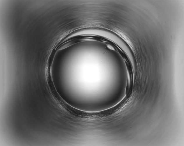 X0000096410485200801241224